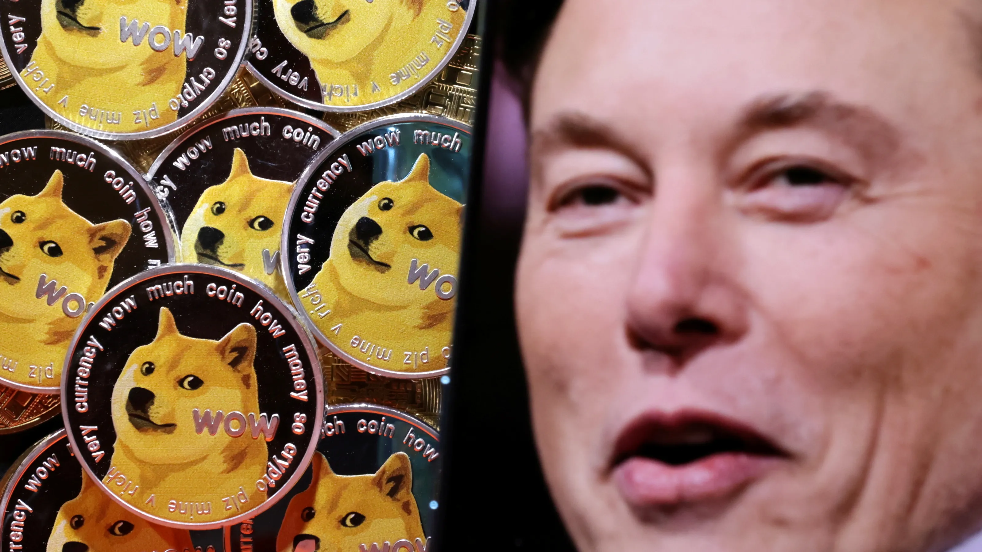 Elon Musk's DOGE Appointment Sparks Meme and Political Reactions