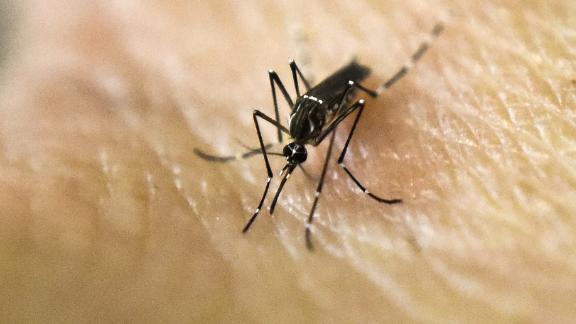 Featured image for First West Nile Virus Death of 2023 Reported in Suburban Cook County