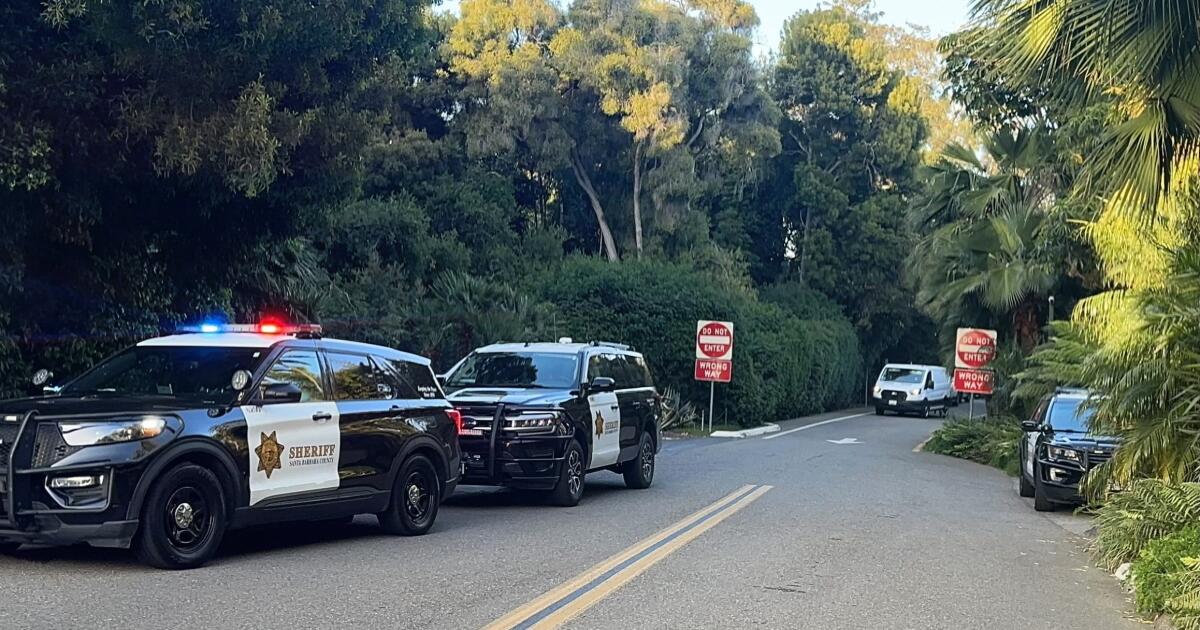 Featured image for Violent Break-In at Beanie Babies Mogul's California Home Leaves Woman in Coma