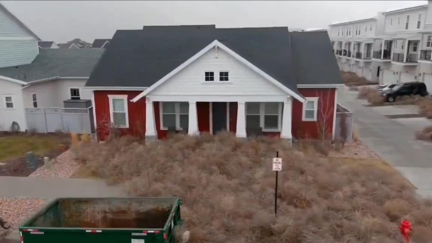 Featured image for "Tumbleweed Invasion: Utah and Nevada Residents Battle Unprecedented Tumbleweed Onslaught"