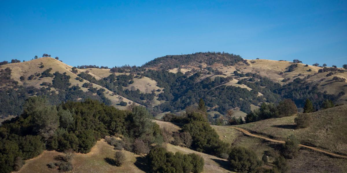 Featured image for Interior Proposes to Revoke Biden-Era Public Lands Protections