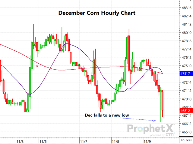 Featured image for Corn and Soy Prices Plummet as Yield and Production Surge