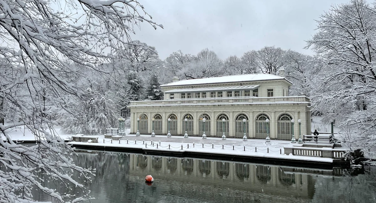 "Unexpected Snowfall Blankets NYC and Northeast, Varies in Accumulation"