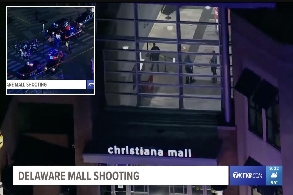 Multiple people injured in Delaware mall shooting.