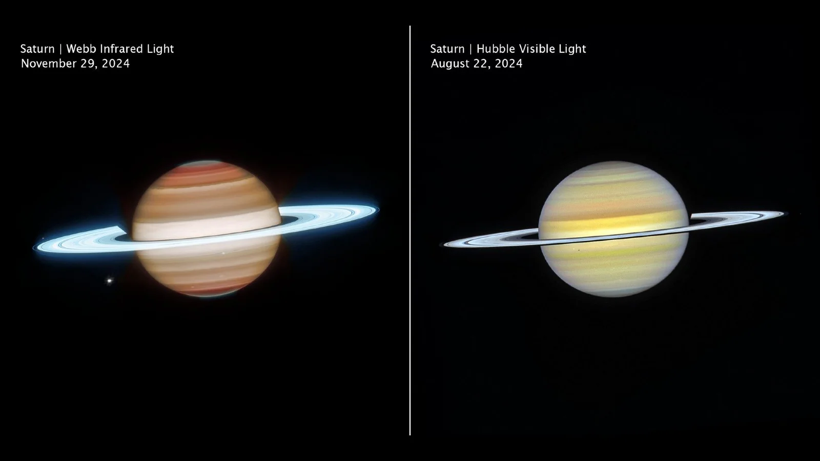 Saturn Reimagined: Webb and Hubble Collaborate for a Multi-Wavelength Portrait