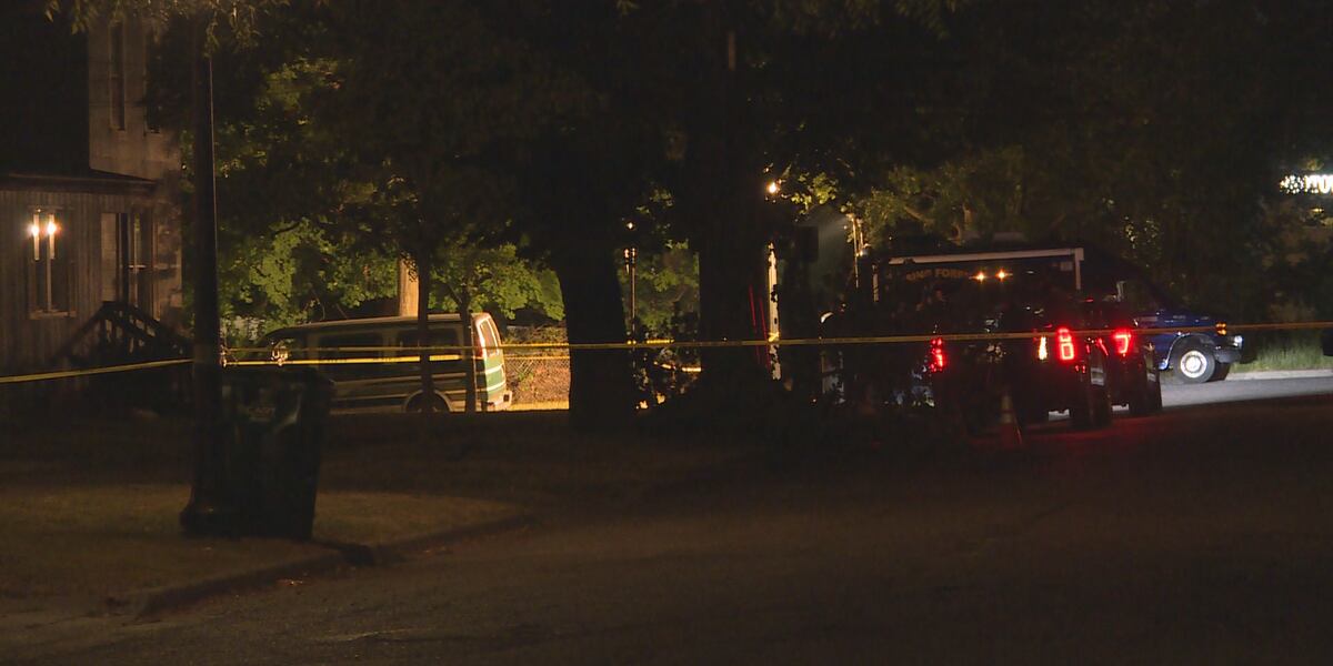 Suspect charged with murder in fatal Lansing stabbing.
