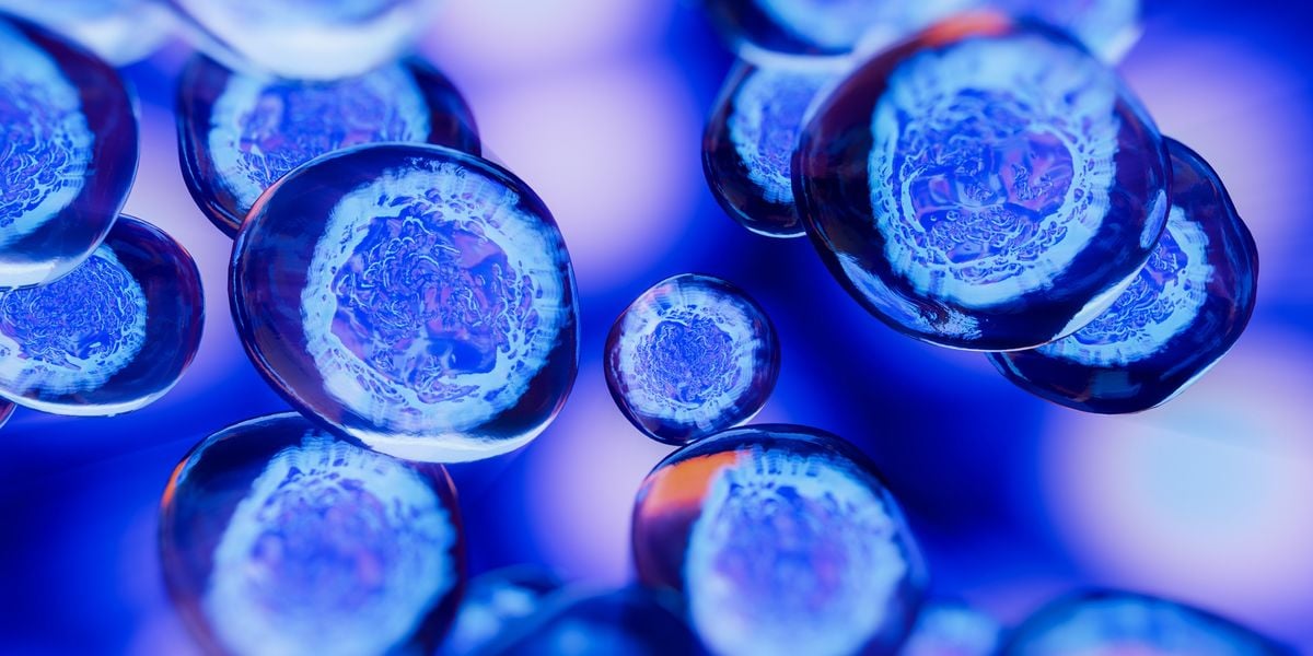 Featured image for Uncovering the Enigmatic Mathematical Pattern within the Human Body