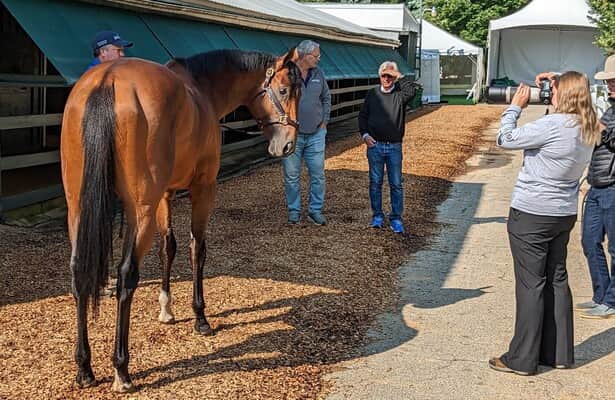 Featured image for Bob Baffert's National Treasure: From Preakness Win to Tragic Loss.
