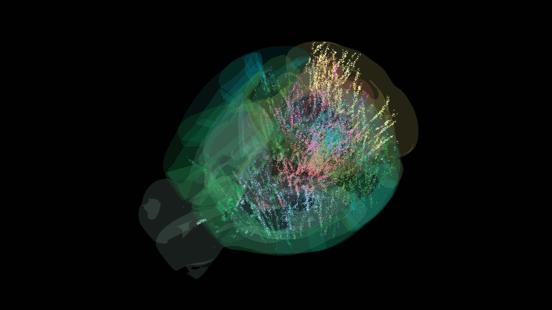 Featured image for Comprehensive Brain Maps Reveal How Decisions Are Made