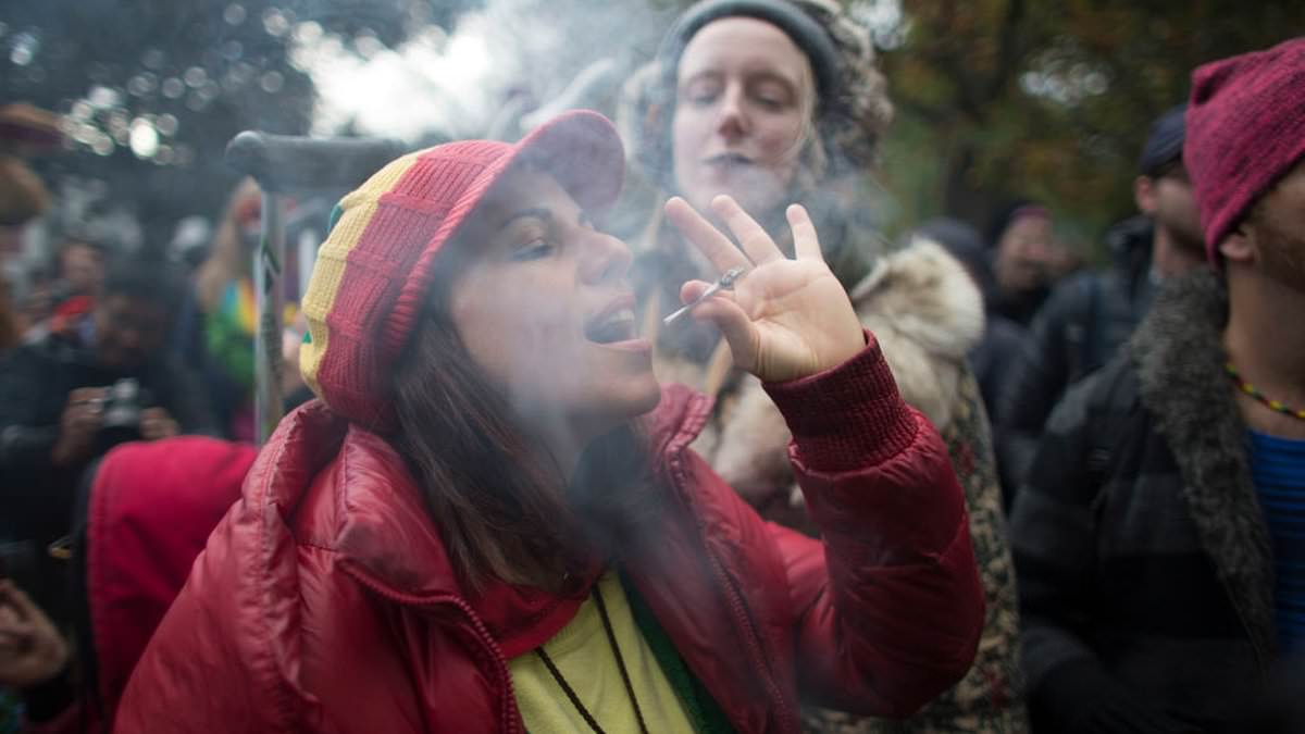 "Rising Cannabis Use Linked to Increased Anxiety-Related Hospital Visits"