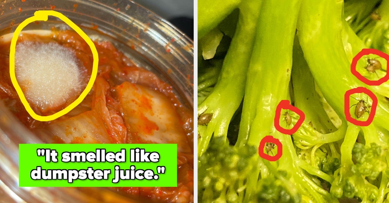 Potluck Horror: 26 Disgusting Dishes That Will Make Your Stomach Turn