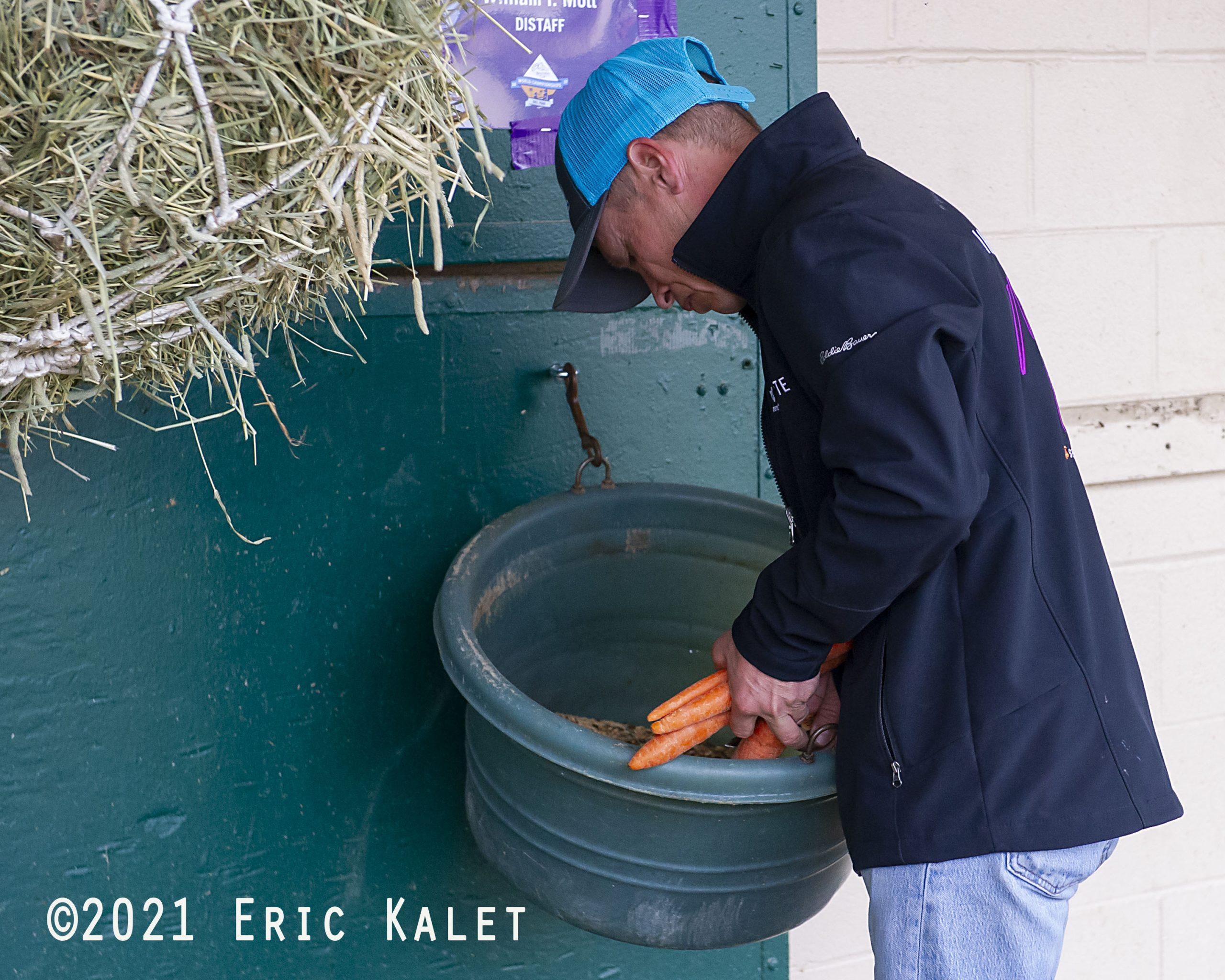 Sweet Feed Linked to Higher Ulcer Risk in Horses - Study Finds