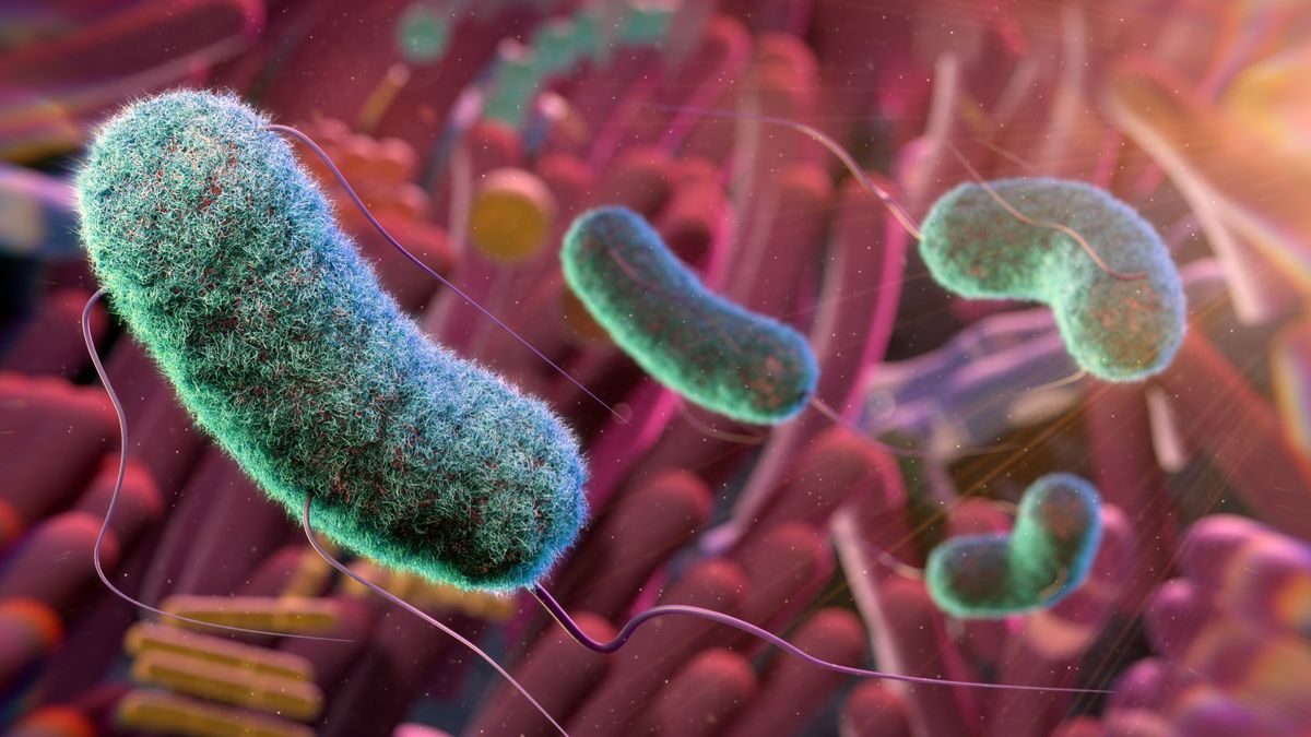 Unlocking Revolutionary Disease Treatments: The Gut Microbiome Atlas Revealed