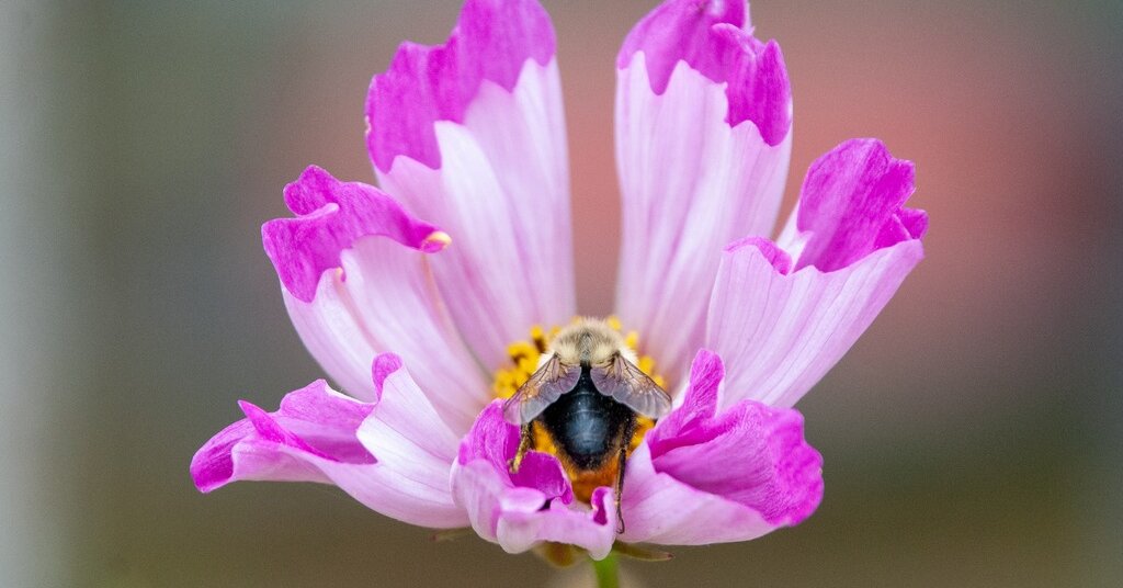 "December 19, 2023 Spelling Bee Answers Unveiled"