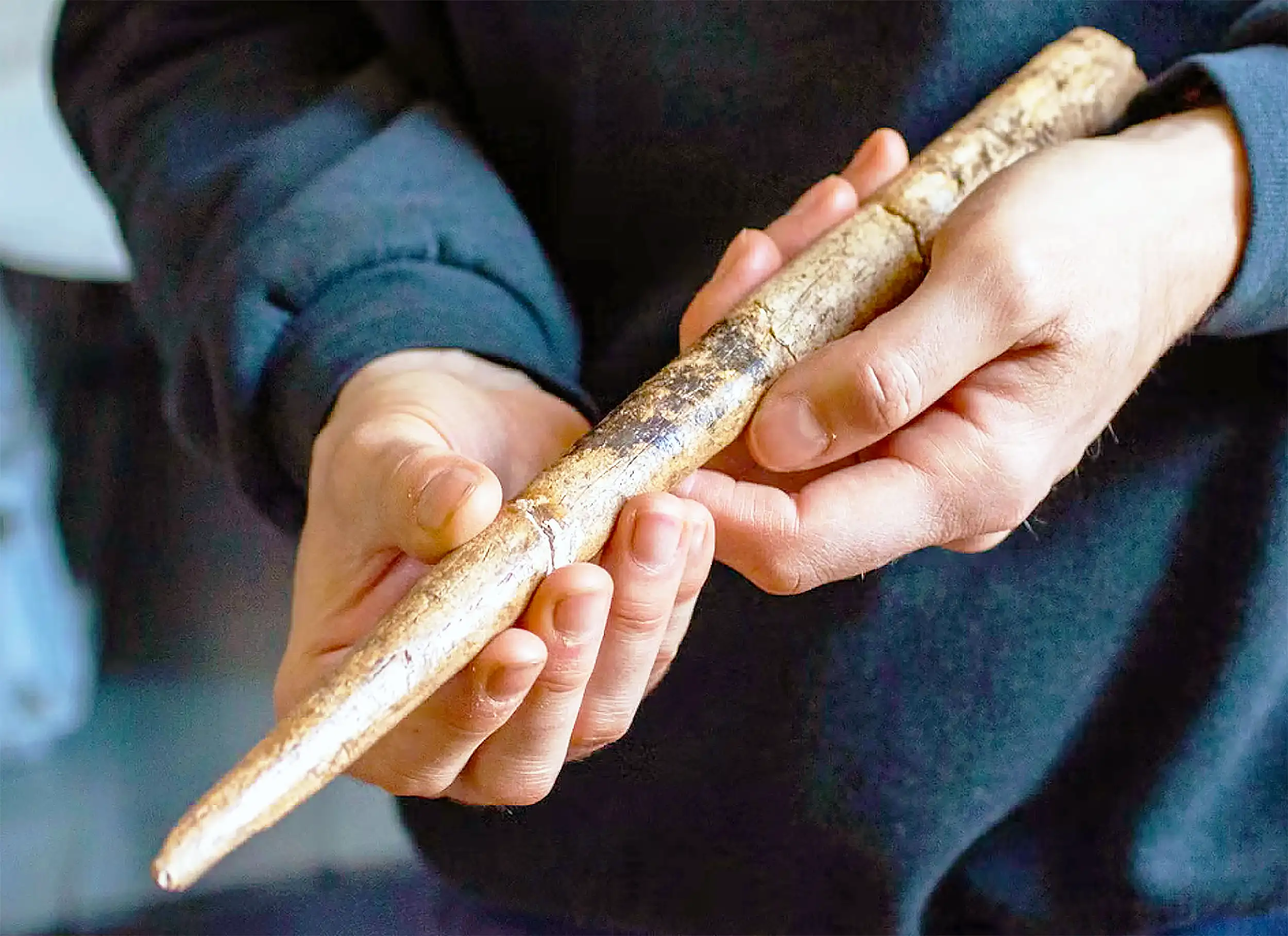 Featured image for 20,000-Year-Old Whale Bone Tools Uncovered in Spanish Cave