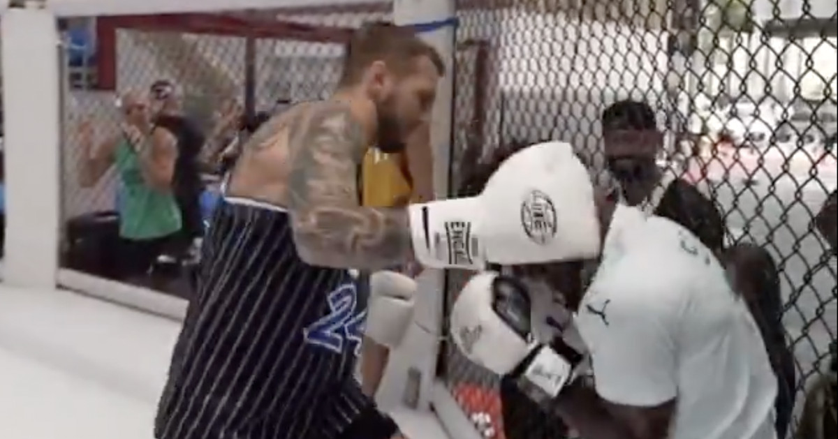 Featured image for IShowSpeed Faces Brutal Defeat in Sparring with UFC's Dan Hooker