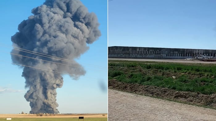 "Massive Texas Dairy Farm Explosion Claims Thousands of Cows"