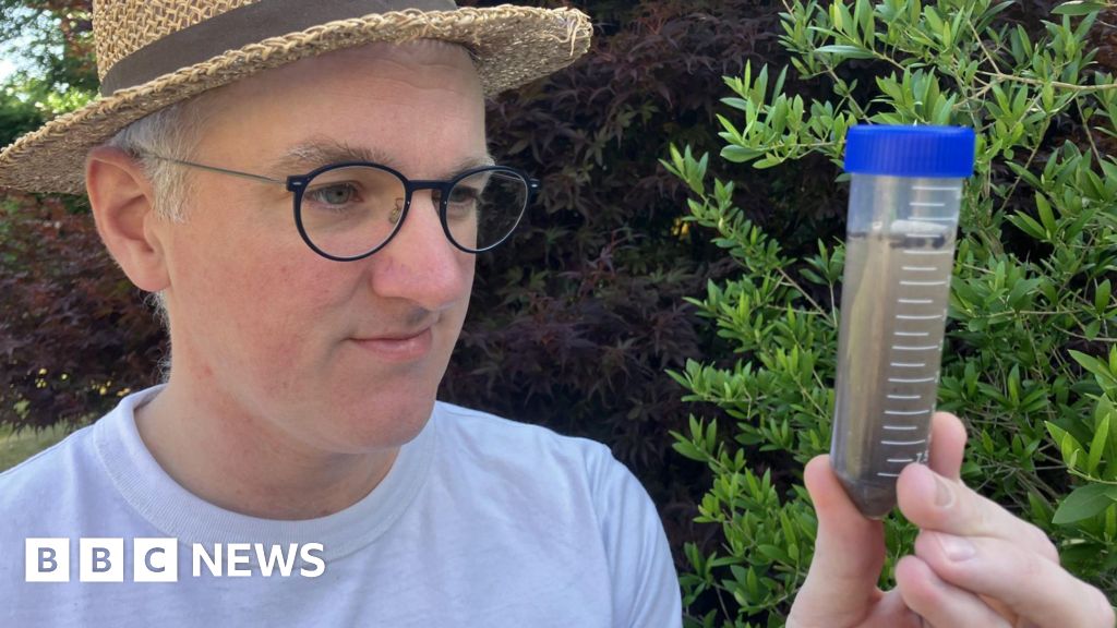 Featured image for Bacteria-Eating Virus Discovered in Toilet