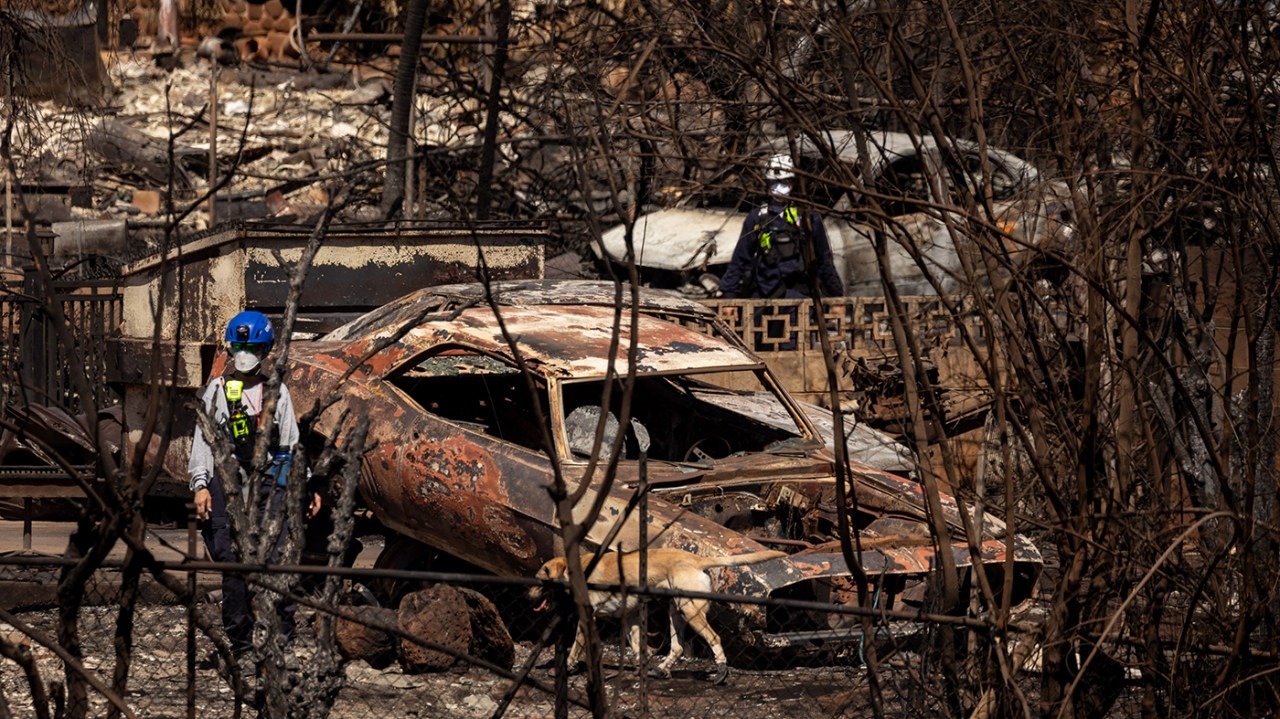 Hawaii's Costly Lesson: Underpreparedness and Delayed Evacuations Fuel Devastating Wildfires