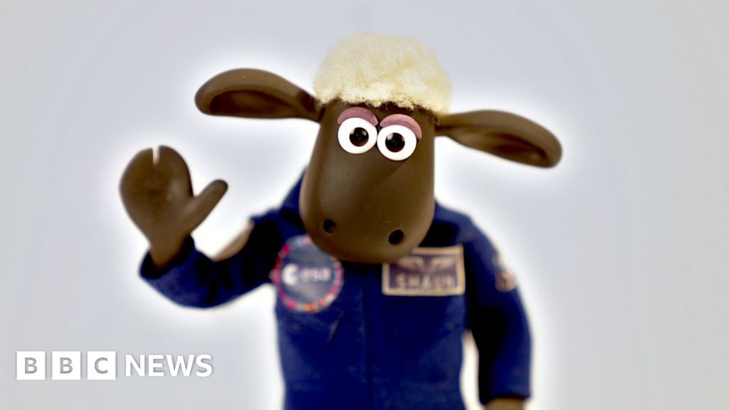 Astronaut Sheep Shaun's Triumphant Homecoming
