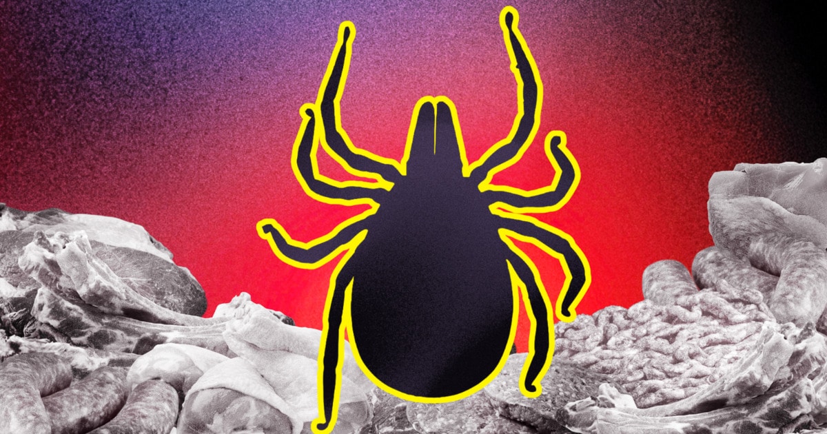 Featured image for Rising Alpha-Gal Syndrome Sparks Vegan Shift on Martha’s Vineyard