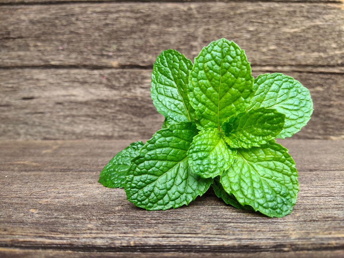 "The Miraculous Benefits of Daily Mint Leaf Consumption"