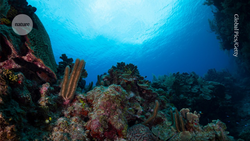 Featured image for "Unlocking the Potential: Harnessing the Largest Genetic Database of Marine Microbes for Drug Discovery"