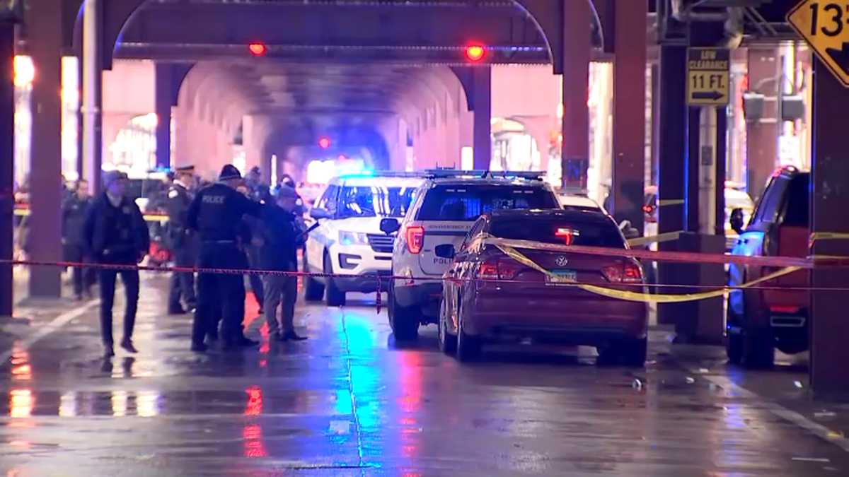 Tragic Shooting Claims Lives of Two Chicago High School Students
