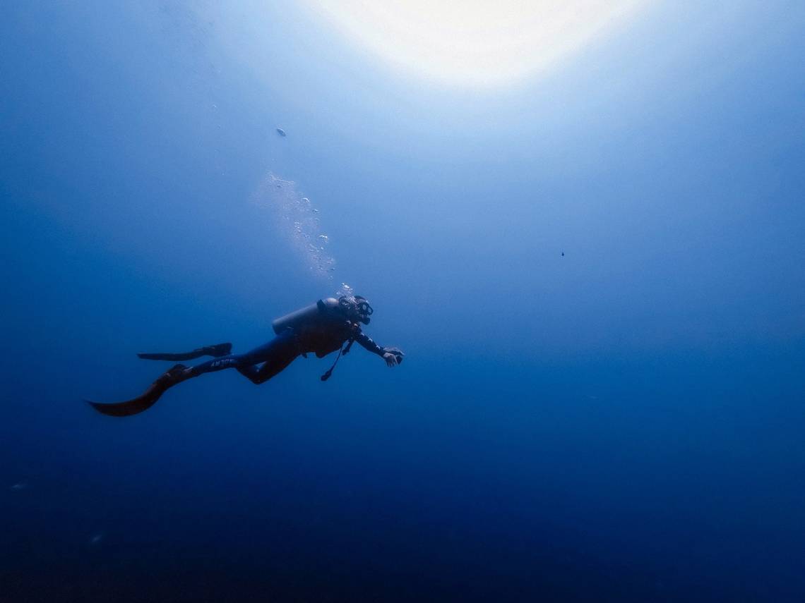 Diver encounters 'super rare' sea creature in Malaysia.