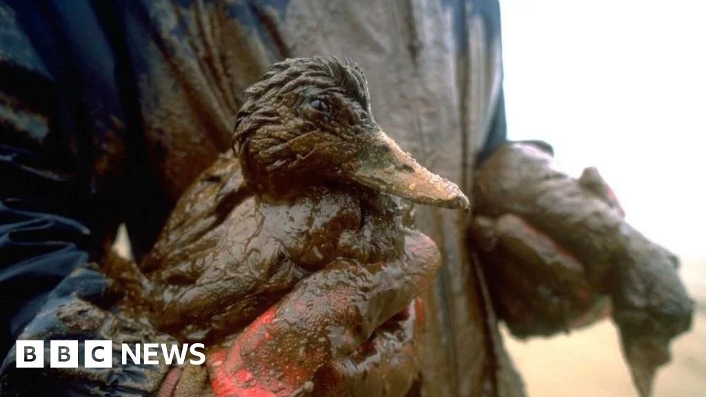 Sea Empress Spill: Three Decades On, Wales Reassesses Its Seas