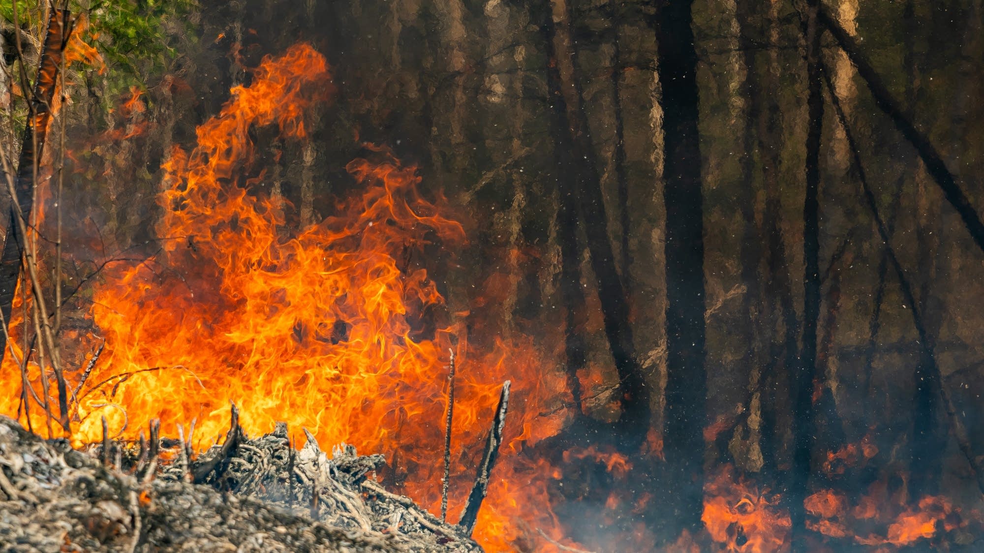 Featured image for Camp House Fire Started by Abandoned Campfire