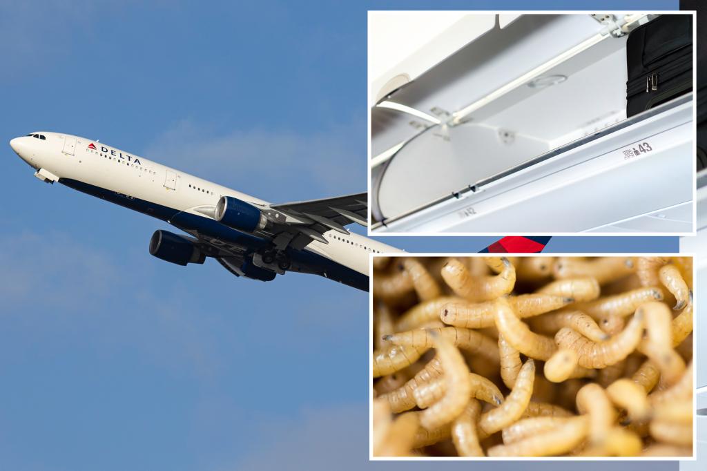 Featured image for Maggots Rain Down on Delta Passengers During Flight