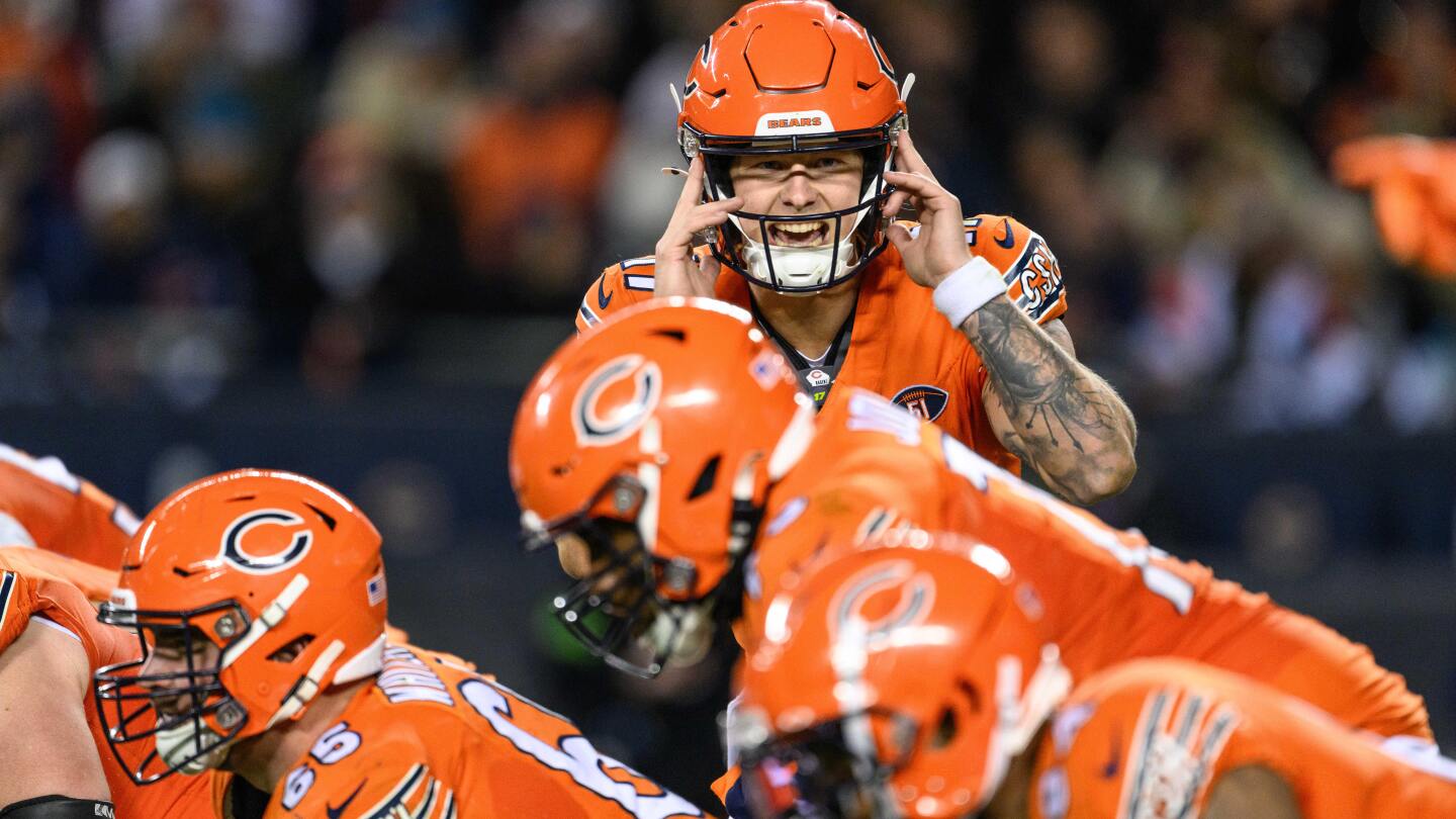 Bears' Dominant Performance Leaves Panthers Frustrated and Searching for Answers