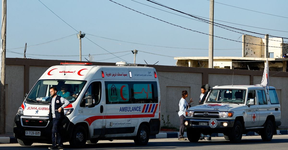 Challenges and Resilience: A Mother's Struggle to Find Safety in Gaza