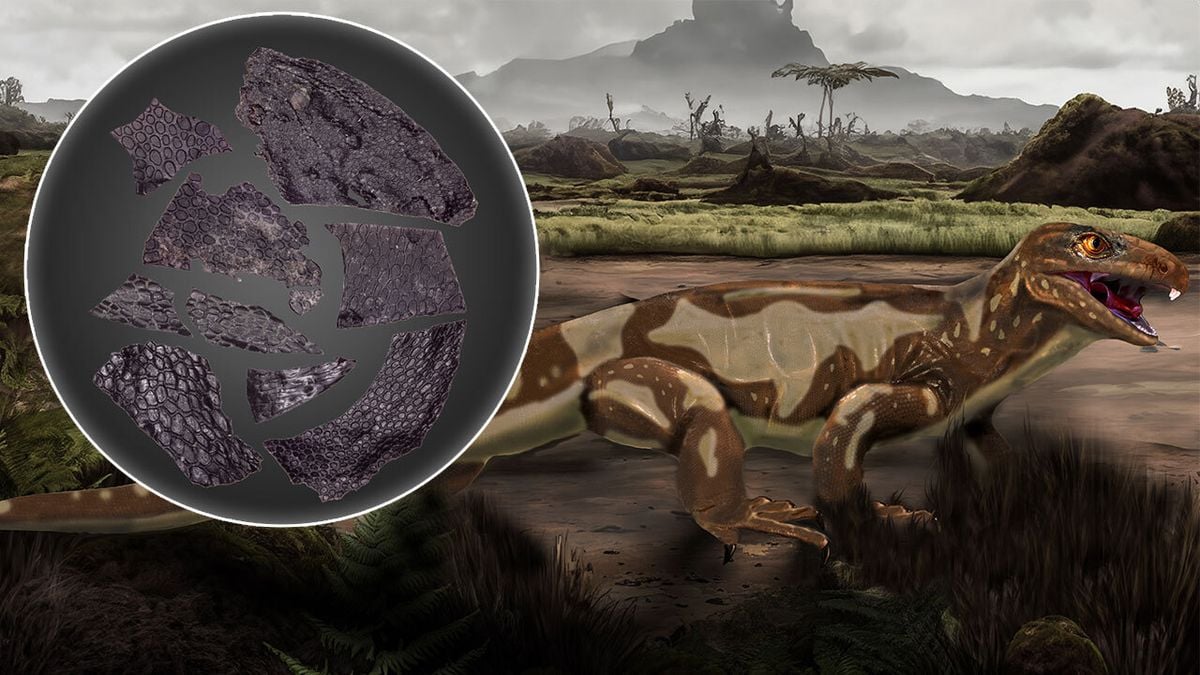 Featured image for "286-Million-Year-Old Fossilized Skin Unveils Ancient Creature's Secrets"