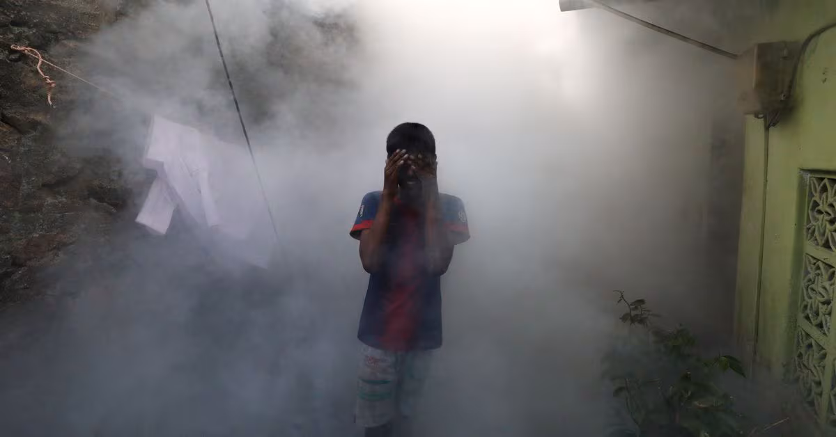 Featured image for Global Warming Fuels Alarming Surge in Dengue Cases, WHO Warns