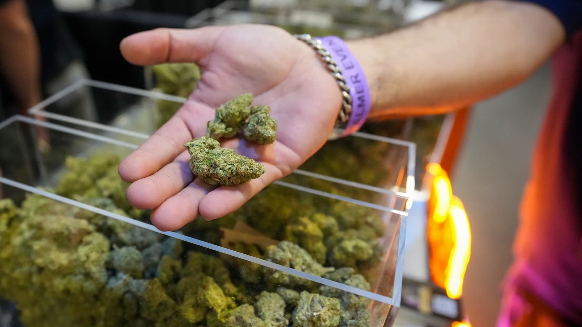 Featured image for Trump's Potential Reclassification of Marijuana Sparks Industry and Legal Debates