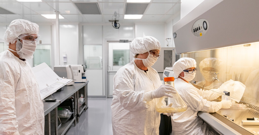 Featured image for Trump Administration Ends Musk's '5 Things' Emails Amidst Latest Developments