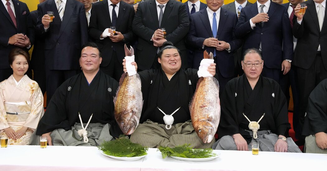 Featured image for Japan's Onosato Makes Historic Sumо Debut as First Japanese Grand Champion in Years