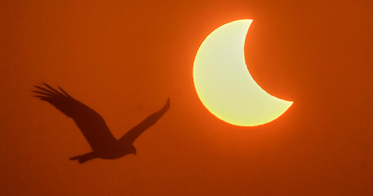 "Safely Capturing the 2024 Solar Eclipse: Expert Tips for Using Your Phone Camera"