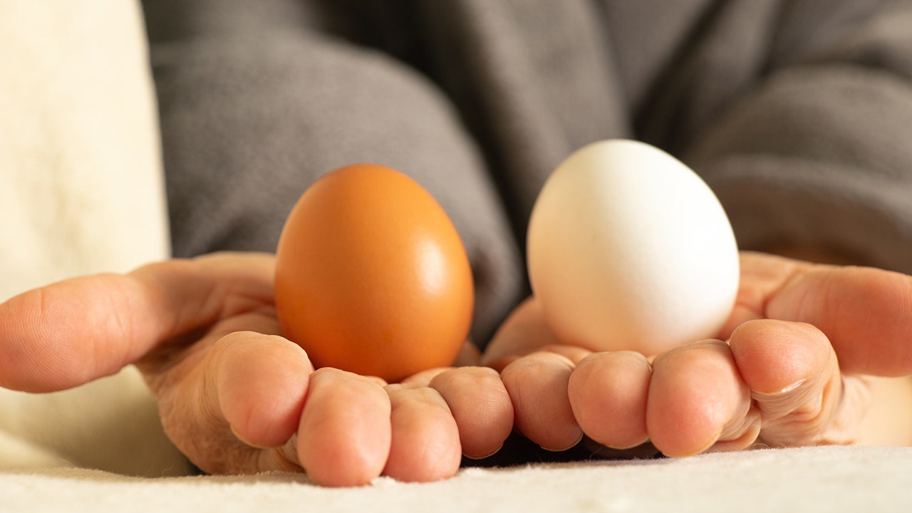 Featured image for Crack the Code: Nutritionists Reveal the Best Eggs for Your Health