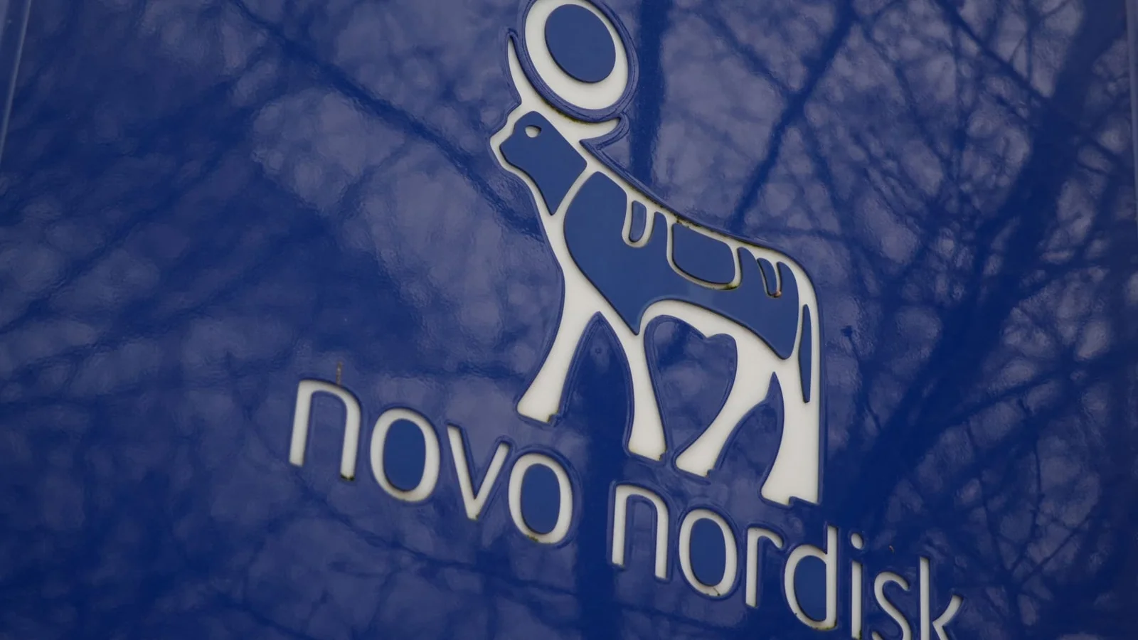CagriSema lags Zepbound as Novo Nordisk presses toward FDA decision