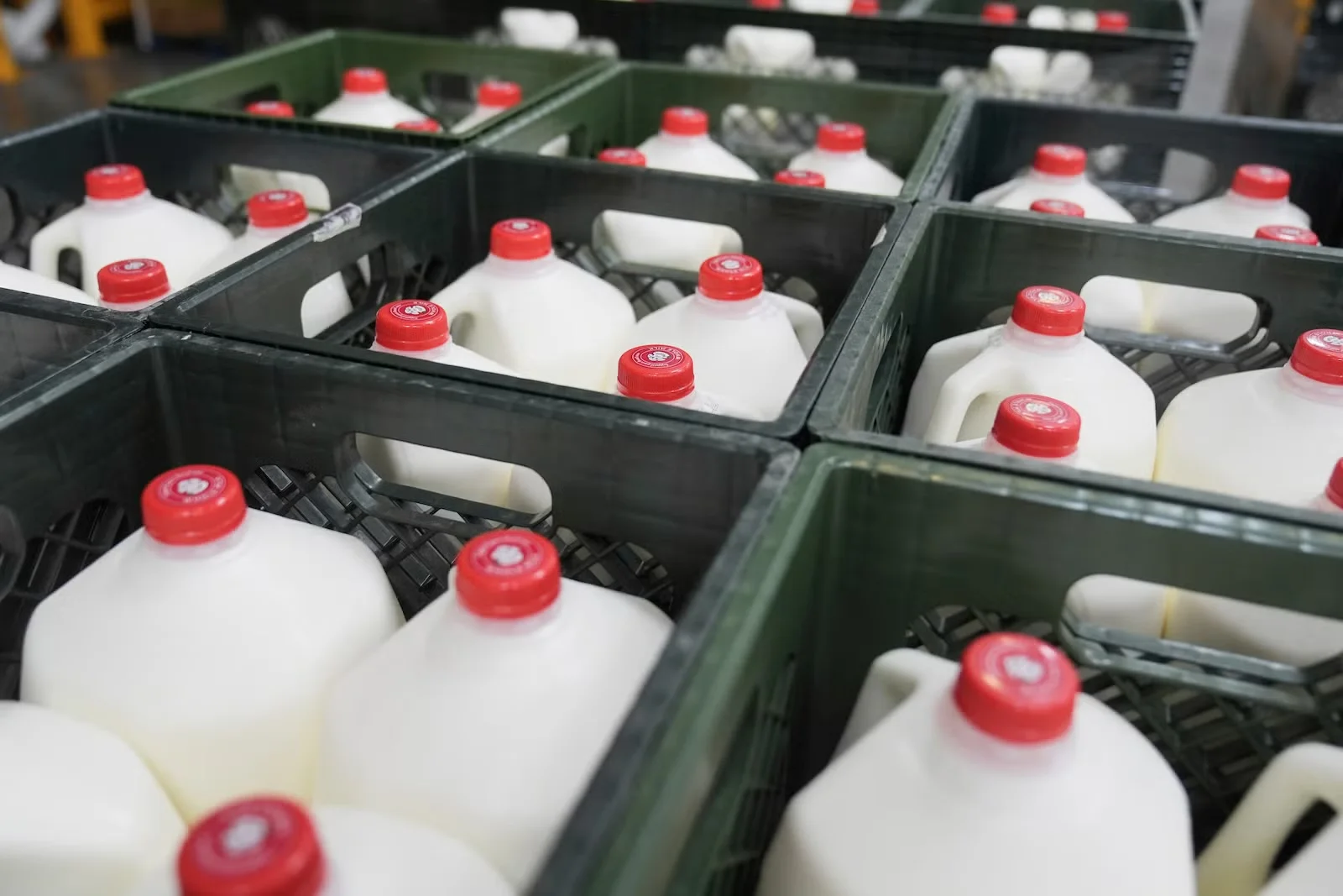 States and USDA face hurdles in funding food assistance amid shutdown