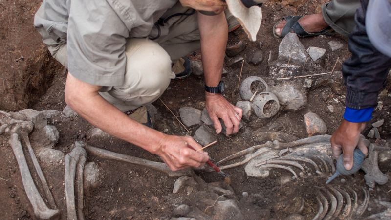 Featured image for Ancient Priest's Tomb Unearthed in Peru