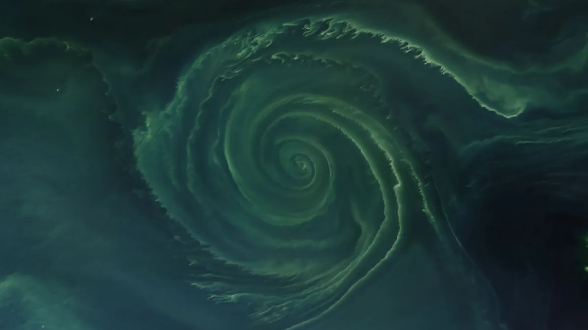 Featured image for "Ethereal Algal Vortex Blooms in Baltic 'Dead Zone' Seen from Space"