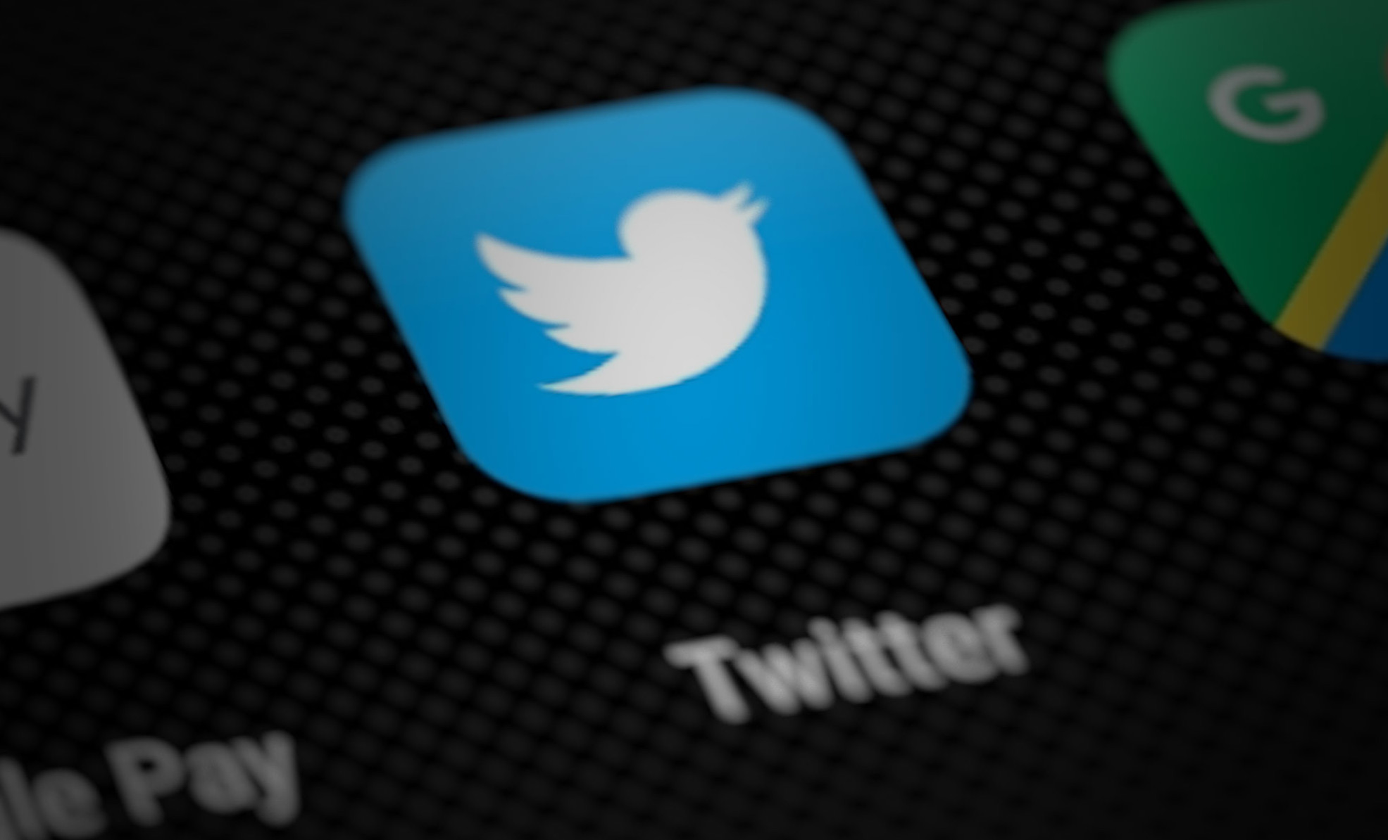 "Twitter's Auto-Response System Gets Cheeky with Elon Musk's Influence"