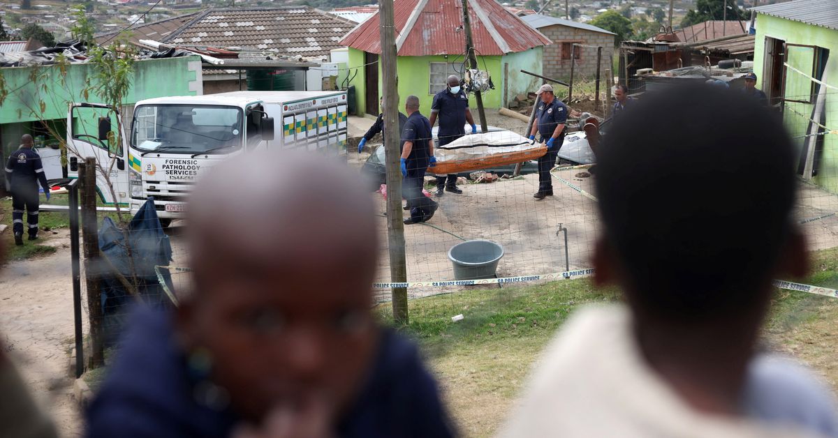 10 killed in South African homestead ambush by gunmen.