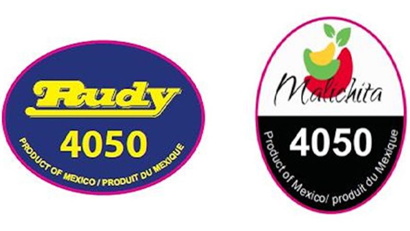 Featured image for Salmonella Outbreak: Cantaloupe Recall Expands, Two Deaths Reported