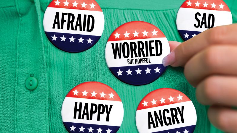 Insights and Reactions to the 2024 Election Outcome