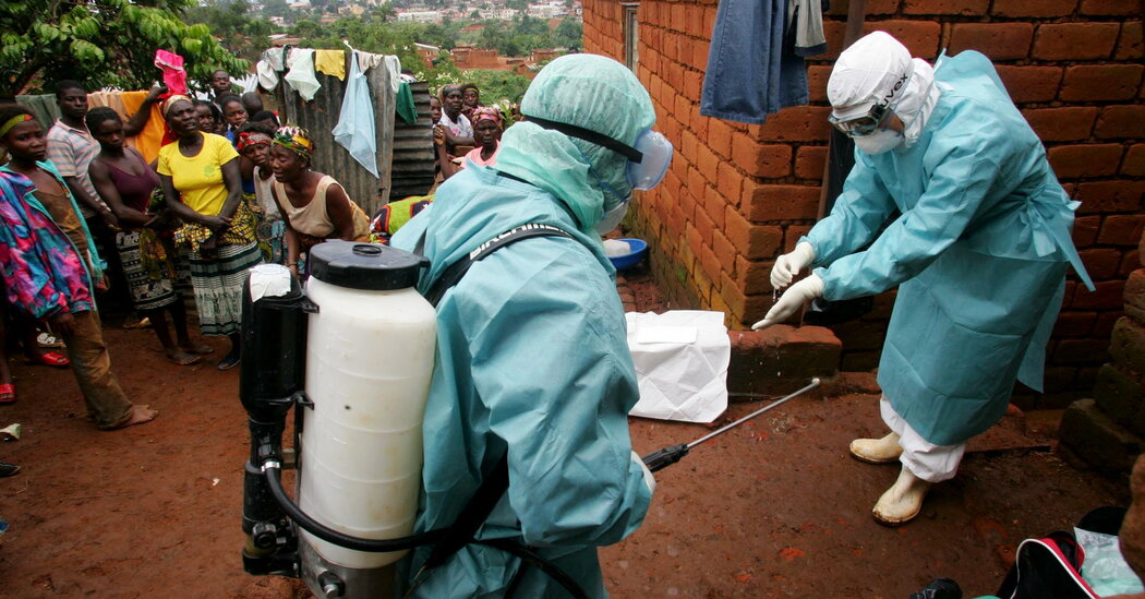 Global Health Experts Alarmed by Deadly Marburg Virus Outbreaks in Africa